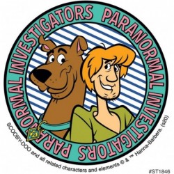 Scooby Doo Zoinks Stickers - Toys and Giveaways - 100 per Pack $16.55 Kids' Drawing & Writing Boards