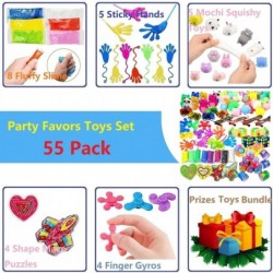 55 Pcs Party Favors for Kids 4-8 Birthday Gift Toys Goodie Bag Stuffers Treasure Box Toys Carnival Prizes Gifts for Kids Clas...