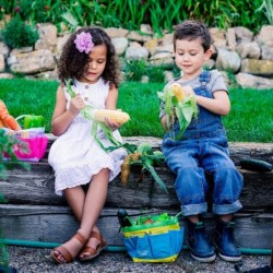 Kids Gardening Tools - Includes Sturdy Tote Bag Watering Can Gloves Shovels Rake Stakes a Delightful Children's Book How to G...