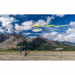 Prism Bora Single-line Parafoil Kite $59.61 Kites & Wind Spinners