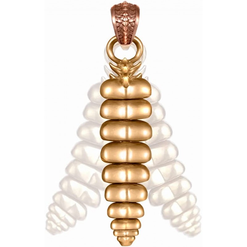 Rattlesnake Tail Rattle Pendant Necklace Brass Shakeable Fidget Jewelry for Women Men $48.49 Kids' Dress-Up Accessories