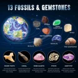 XXTOYS Solar System Gemstone Dig Kit - Dig Up 13 Gems Rocks & Fossils - Space Toys Science Kits for Kids Great Geology Gift f...