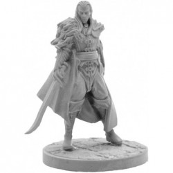 Gale Force 9 Strahd Foot & Mounted (2 figs) Multicolor $60.09 Board Games