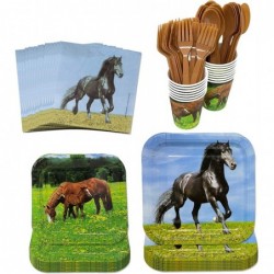 Horse Party Supplies Pack (116 Pieces for 16 Guests) - Horse Party Decorations Horse Birthday Party Supplies Cowboy Theme Par...