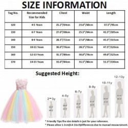 Unicorn Rainbow Costume Girls Princess Birthday Party Long Maxi Tulle Dress Halloween Carnival Cosplay Fancy Dress $36.69 Kid...