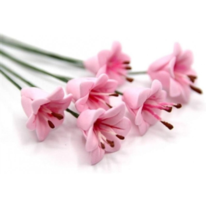 Dolls House Lilies 6 Pink Lily Flowers on Stem Miniature Garden Vase Accessory $19.48 Dollhouse Accessories