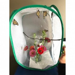 Pop-up Insect and Butterfly Habitat Cage Terrarium - 24 Inches Tall $24.15 Habitat Science Kits