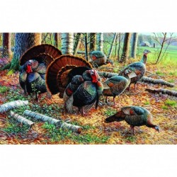 Spring Strut 550 pc Jigsaw Puzzle $38.60 Jigsaw Puzzles