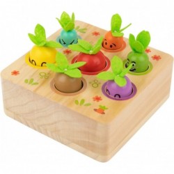 Color and Shapes Sorting Montessori Toys - Vegetables Carrot Harvest Game with Facial Expressions Moods - Wooden Toys for 2 3...