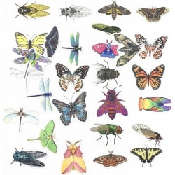 Butterfly Bug Stickers for Kids Self Adhesive - 100pcs Insect Stickers for Water Bottles Dragonfly Butterfly Fiesta Stickers ...