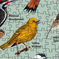 Birds Puzzles for Adults Hummingbird Puzzle 1000 Pieces Features 47 Famous Backyard Birds of North America Nature Animal Jigs...