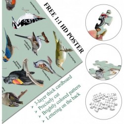 Birds Puzzles for Adults Hummingbird Puzzle 1000 Pieces Features 47 Famous Backyard Birds of North America Nature Animal Jigs...