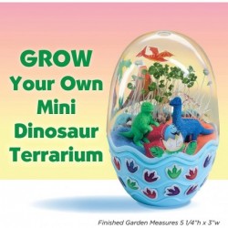 Mini Garden: Dinosaur Terrarium - Arts and Crafts for Boys and Girls Ages 6-8+ $17.39 Habitat Science Kits