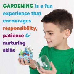 Mini Garden: Dinosaur Terrarium - Arts and Crafts for Boys and Girls Ages 6-8+ $17.39 Habitat Science Kits