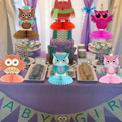 6 Pieces Owl Decorations Owl Birthday Party Favors Kit 3D Owl Honeycomb Table Centerpieces for Baby Shower Woodland Animals T...