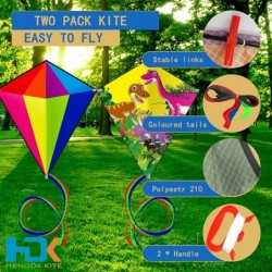 Prism Kite Dinosaur Park and Diamond Kite Set for Kids and Adults Easy to Fly Excellent Fabric with Two Sets of Individual Pa...