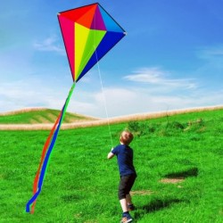 Prism Kite Dinosaur Park and Diamond Kite Set for Kids and Adults Easy to Fly Excellent Fabric with Two Sets of Individual Pa...