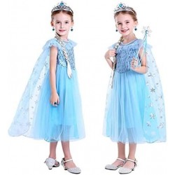 Little Girl Princess Dress Halloween Carnival Cosplay Costume with Accessories Blue $44.14 Kids' Costumes