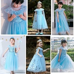 Little Girl Princess Dress Halloween Carnival Cosplay Costume with Accessories Blue $44.14 Kids' Costumes