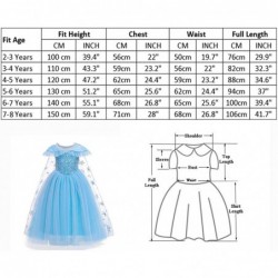 Little Girl Princess Dress Halloween Carnival Cosplay Costume with Accessories Blue $44.14 Kids' Costumes